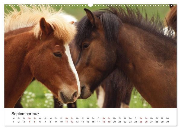 Produktbild: Islandpferde - Hufschlag aus Feuer und Eis (hochwertiger Premium Wandkalender 2027 DIN A2 quer), Kunstdruck in Hochglanz