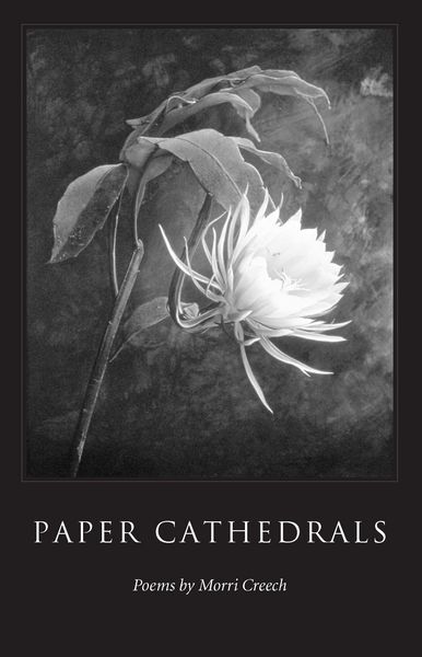 Produktbild: Paper Cathedrals