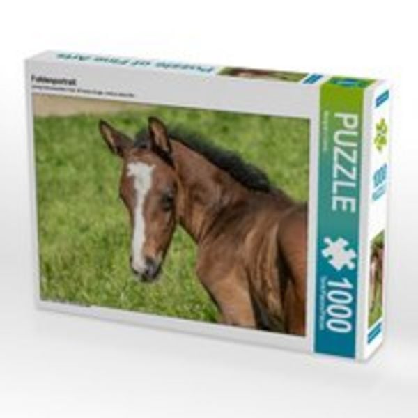 CALVENDO Puzzle Fohlenportrait | 1000 Teile Lege-Größe 64x48cm Foto-Puzzle für glückliche Stunden