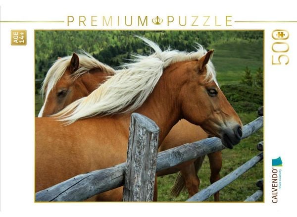 CALVENDO Puzzle Ein Motiv aus dem Kalender Pferde - Hobby und Leidenschaft | 500 Teile Lege-Größe 48 × 36 cm Foto-Puzzle für Erwachsene