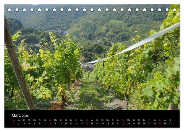 Produktbild: Sch&ouml;ne Mosel (Tischkalender 2026 DIN A5 quer), CALVENDO Monatskalender