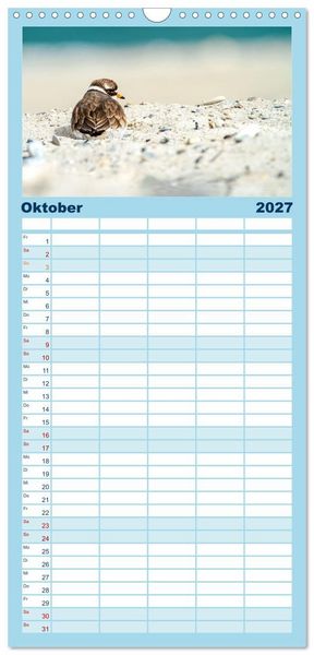 Produktbild: Familienplaner 2027 - Limikolen - Watv&ouml;gel aus Europa mit 5 Spalten (Wandkalender, 21 x 45 cm) CALVENDO