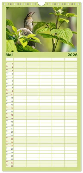 Produktbild: Familienplaner 2026 - Fantastische Vogelwelt Slowenien mit 5 Spalten (Wandkalender, 21 x 45 cm) CALVENDO