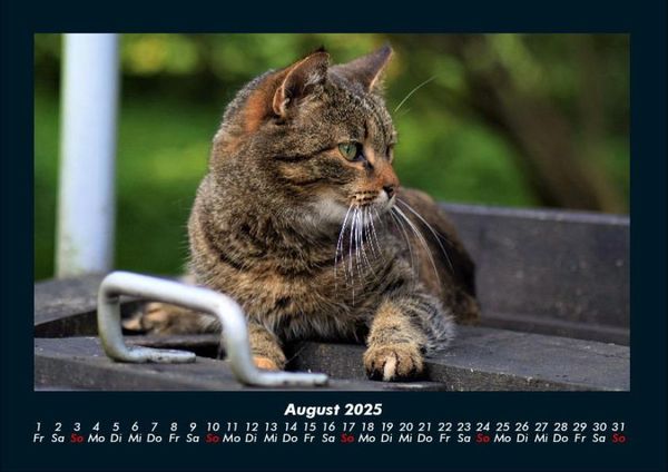 Produktbild: Haustierkalender 2025 Fotokalender DIN A4