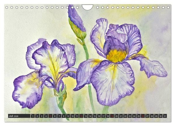 Produktbild: Blumenbilder in Aquarell (Wandkalender 2026 DIN A4 quer), CALVENDO Monatskalender
