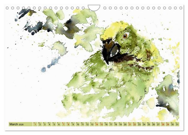 Produktbild: The Fascinating World of Birds in Watercolour (Wall Calendar 2026 DIN A4 landscape), CALVENDO 12 Month Wall Calendar