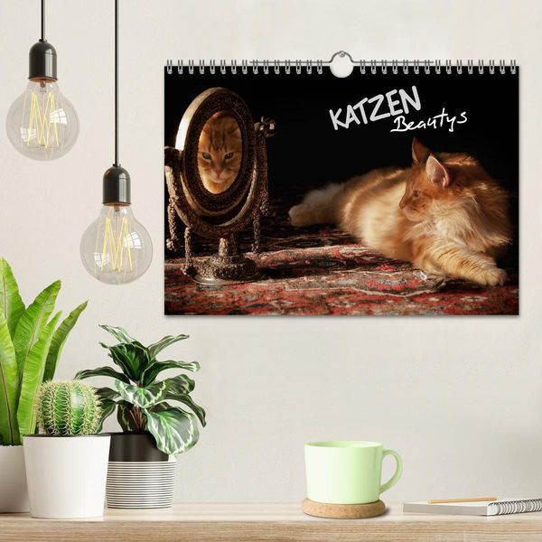 Produktbild: KATZEN Beautys (Wandkalender 2026 DIN A4 quer), CALVENDO Monatskalender