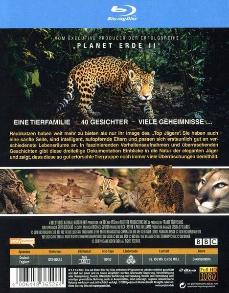 Produktbild: Die Welt der Raubkatzen - BBC Earth