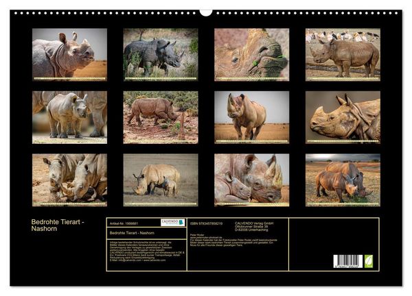 Produktbild: Bedrohte Tierart - Nashorn (Wandkalender 2026 DIN A2 quer), CALVENDO Monatskalender