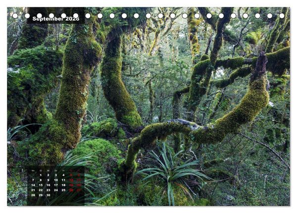 Produktbild: Neuseeland - Traumlandschaften aus einem Naturparadies (Tischkalender 2026 DIN A5 quer), CALVENDO Monatskalender