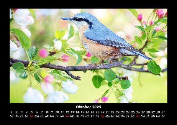 Produktbild: Vogelparadies 2025 Fotokalender DIN A3
