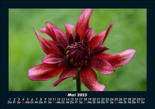 Produktbild: Natur 2025 Fotokalender DIN A5