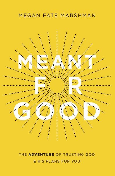 Produktbild: The Meant for Good