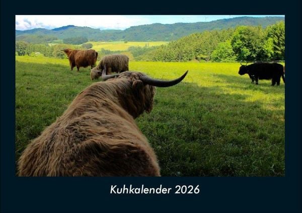 Produktbild: Kuhkalender 2026 Fotokalender DIN A4