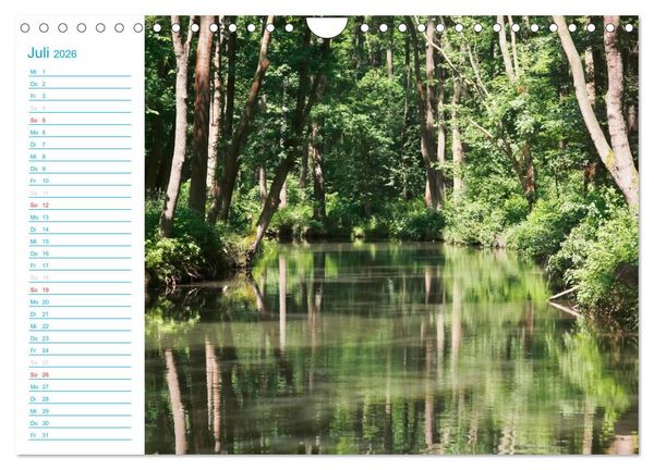 Produktbild: Wundersch&ouml;ner Spreewald (Wandkalender 2026 DIN A4 quer), CALVENDO Monatskalender