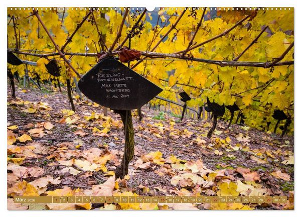 Produktbild: Wein - Landschaften (Wandkalender 2026 DIN A2 quer), CALVENDO Monatskalender