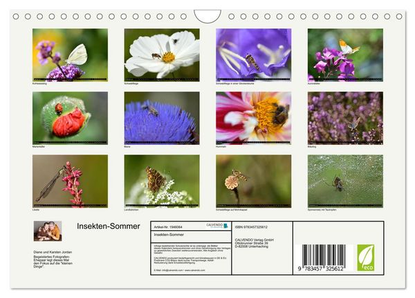 Produktbild: Insekten-Sommer (Wandkalender 2026 DIN A4 quer), CALVENDO Monatskalender