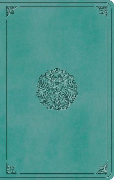Produktbild: ESV Large Print Value Thinline Bible