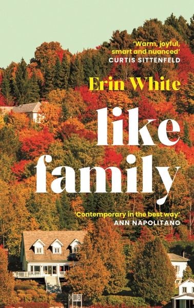 Like Family, Taschenbuch von Erin White, Profile Books, 978-1-80522-915-5