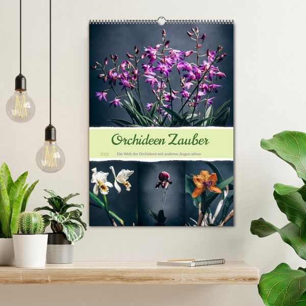 Produktbild: Orchideen Zauber (Wandkalender 2026 DIN A2 hoch), CALVENDO Monatskalender