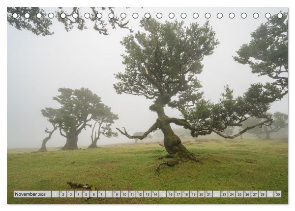 Produktbild: Wundersch&ouml;nes Madeira (Tischkalender 2026 DIN A5 quer), CALVENDO Monatskalender