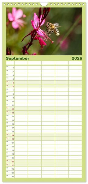 Produktbild: Familienplaner 2026 - Die Wunderwelt der Biene mit 5 Spalten (Wandkalender, 21 x 45 cm) CALVENDO