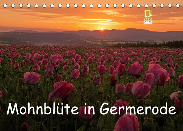 Produktbild: Mohnbl&uuml;te in Germerode (Tischkalender 2022 DIN A5 quer)