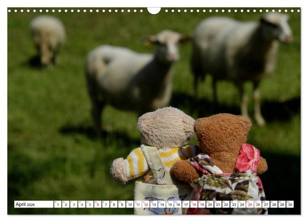 Produktbild: Die kleine Welt der Teddyb&auml;rchen (Wandkalender 2026 DIN A3 quer), CALVENDO Monatskalender