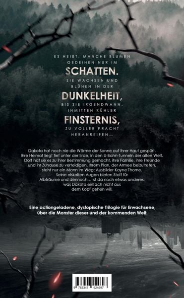 Produktbild: Rogue Project