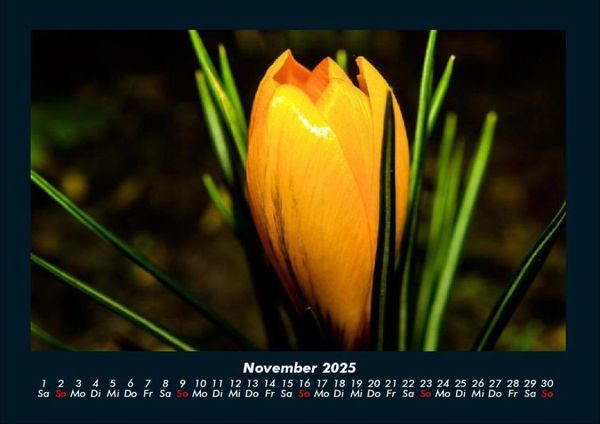 Produktbild: Blumenzauber 2025 Fotokalender DIN A4