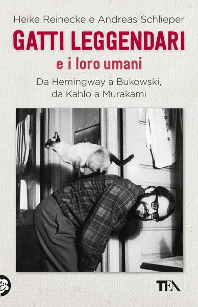 Produktbild: Gatti leggendari e i loro umani