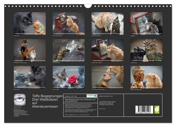 Produktbild: Taffe Begegnungen-Drei Waldkatzen auf Abenteuerreisen (Wandkalender 2026 DIN A3 quer), CALVENDO Monatskalender
