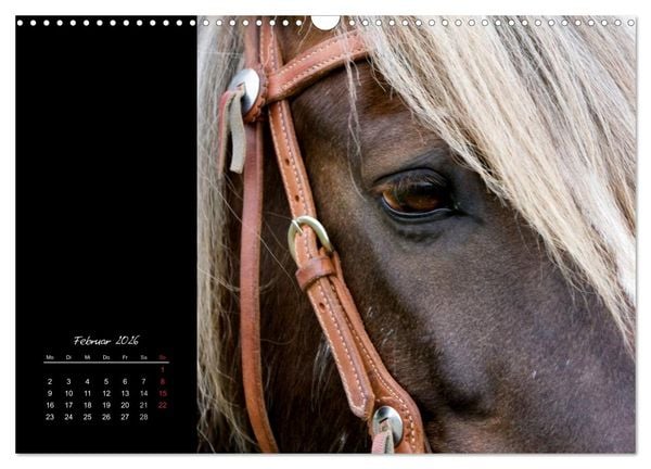 Produktbild: Irish Tinker (Wandkalender 2026 DIN A3 quer), CALVENDO Monatskalender