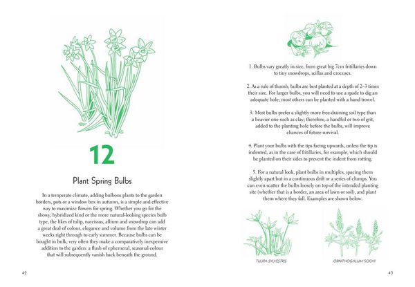 Produktbild: Fifty Things to Do in the Garden
