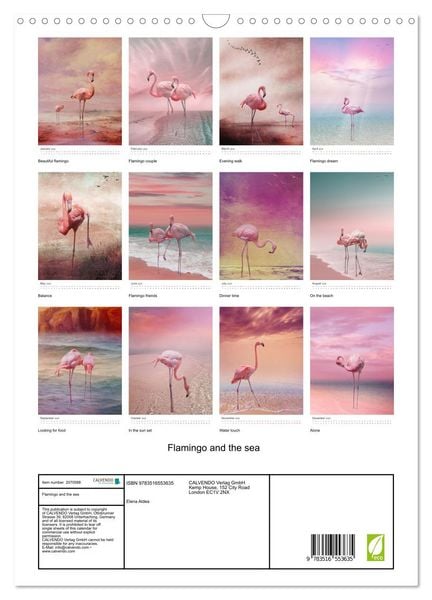Produktbild: Flamingo and the sea (Wall Calendar 2026 DIN A3 portrait), CALVENDO 12 Month Wall Calendar