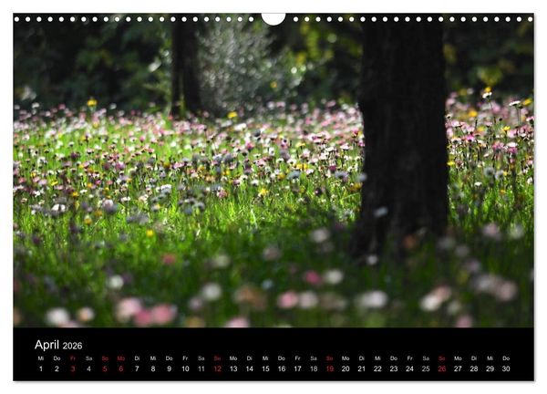 Produktbild: Provence 2026 - Stille Bilder (Wandkalender 2026 DIN A3 quer), CALVENDO Monatskalender