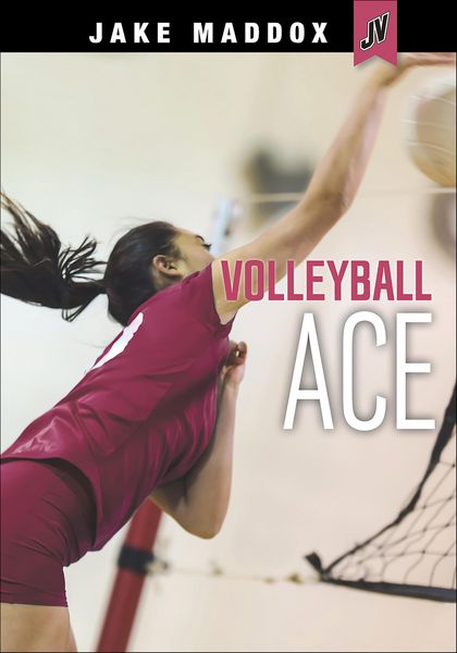 Produktbild: Volleyball Ace