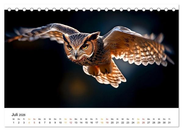 Produktbild: Im Reich der Eulen (Tischkalender 2026 DIN A5 quer), CALVENDO Monatskalender