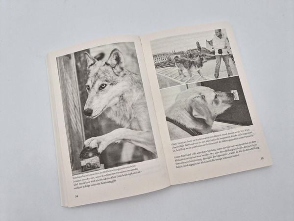 Produktbild: Warum Hunde uns zu besseren Menschen machen