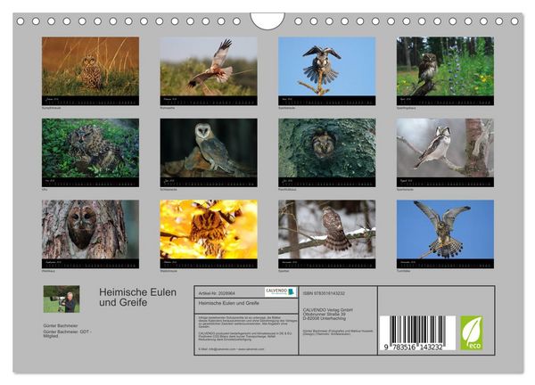 Produktbild: Heimische Eulen und Greife (Wandkalender 2026 DIN A4 quer), CALVENDO Monatskalender