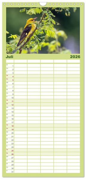 Produktbild: Familienplaner 2026 - Fantastische Vogelwelt Slowenien mit 5 Spalten (Wandkalender, 21 x 45 cm) CALVENDO