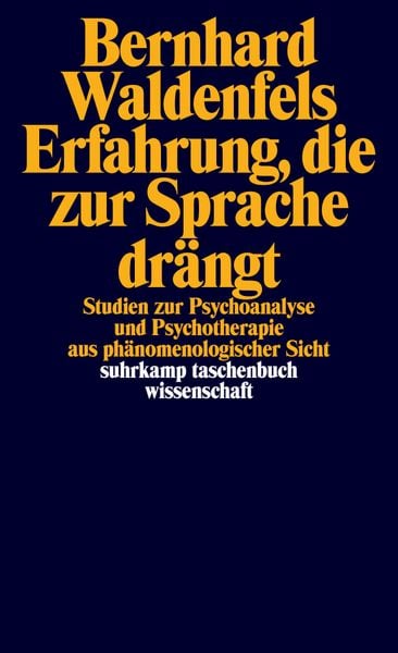 Produktbild: Erfahrung, die zur Sprache dr&auml;ngt