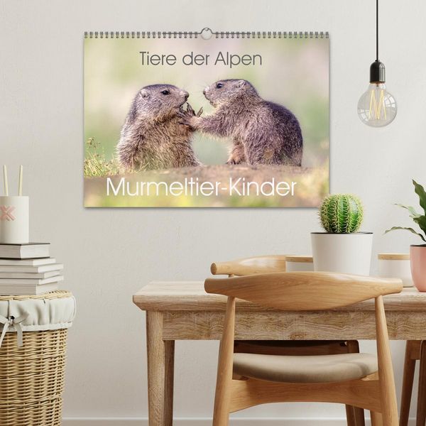 Produktbild: Tiere der Alpen - Murmeltier-Kinder (Wandkalender 2026 DIN A3 quer), CALVENDO Monatskalender