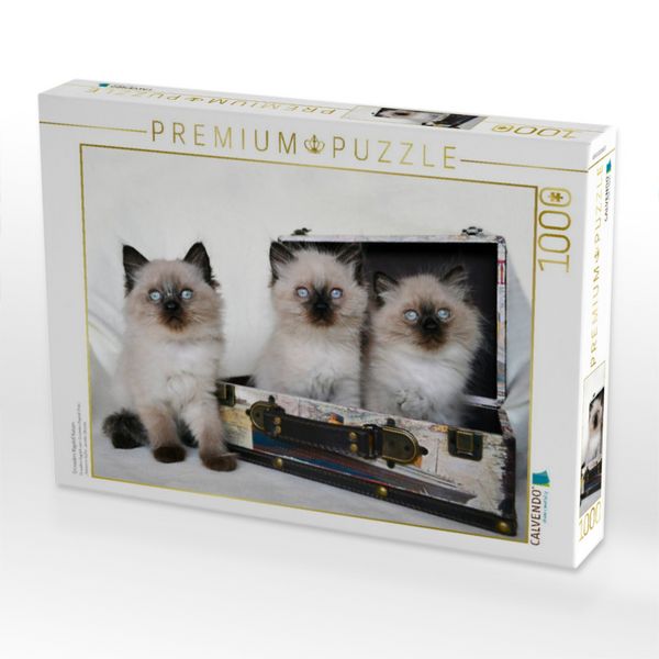 Produktbild: CALVENDO Puzzle Crusaders Ragdoll Katzen | 1000 Teile Lege-Gr&ouml;&szlig;e 64x48cm Foto-Puzzle f&uuml;r gl&uuml;ckliche Stunden