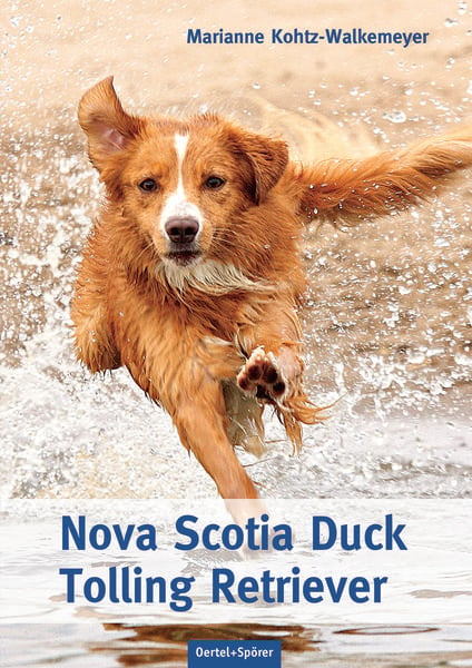 Nova Scotia Duck Tolling Retriever