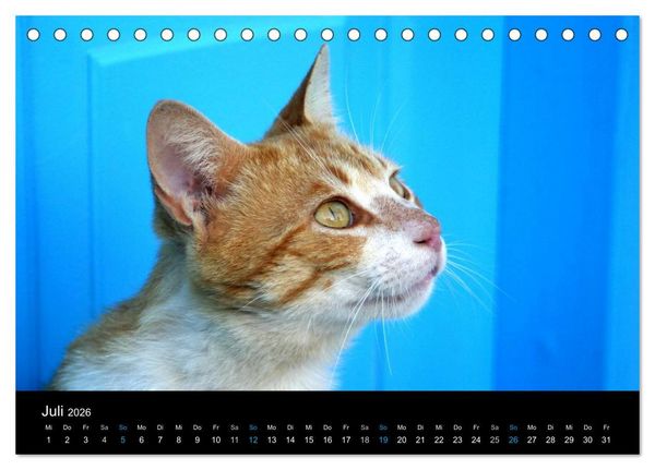 Produktbild: Katzensprung (Tischkalender 2026 DIN A5 quer), CALVENDO Monatskalender
