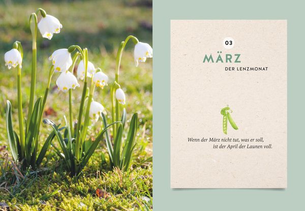 Produktbild: Mein Gartenkalender 2025