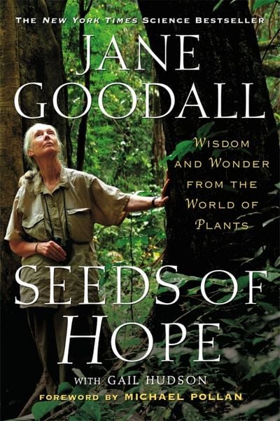 Produktbild: Seeds of Hope