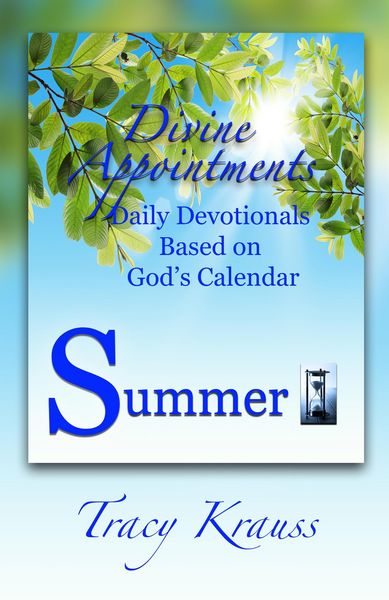 Produktbild: Divine Appointments: Daily Devotionals Based on God's Calendar - Summer