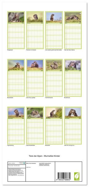 Produktbild: Familienplaner 2026 - Tiere der Alpen - Murmeltier-Kinder mit 5 Spalten (Wandkalender, 21 x 45 cm) CALVENDO